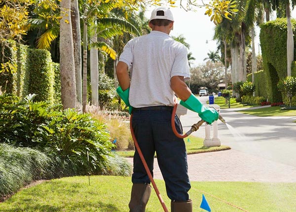 About Islesford ME Pest Control